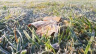 Mínimas de hasta -3°C: Emiten advertencia agrometeorológica por heladas en la RM y otras 5 regiones de Chile