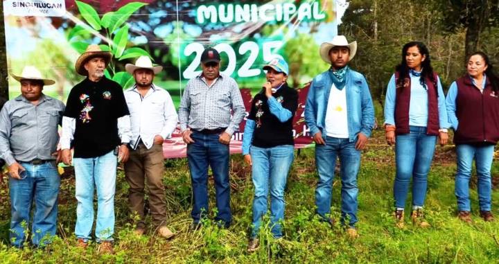 Singuilucan refuerza acciones contra el gusano descortezador con jornadas de reforestación