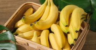 ¿Cuántas bananas se pueden comer por día? Lo que dicen los nutricionistas 