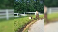 Georgia Deputy Sees Box Left On Roadside On A Scorching Day And Stops In His Tracks