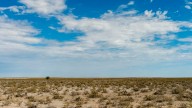 Namibia sends in army to fight devastating wildfire in Etosha game reserve