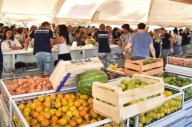 Ofertas especiales este sábado en el Mercado Municipal