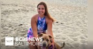 Friend of Federal Hill murder victim testifies in trial of accuser killer