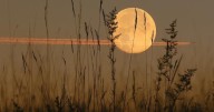 September's full Harvest moon