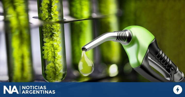 Fijan nuevos precios para los biocombustibles