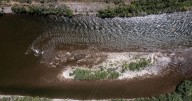 Part of Blackfoot's North Fork closed to fishing as flows dwindle