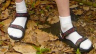 TSA Will No Longer Require Mennonites to Remove Socks and Sandals