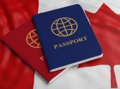 Think runaway immigration is being fixed? Think again
