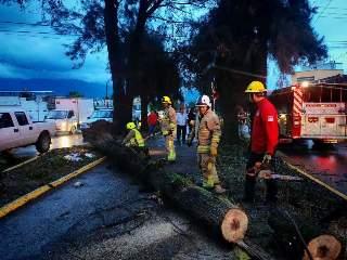 Provocan lluvias crecida de arroyos, ríos y caída de árboles