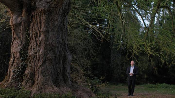 ‘Silent Friend’ Review: A Mesmerizing Reflection On Humans, Plants & How We Might Communicate