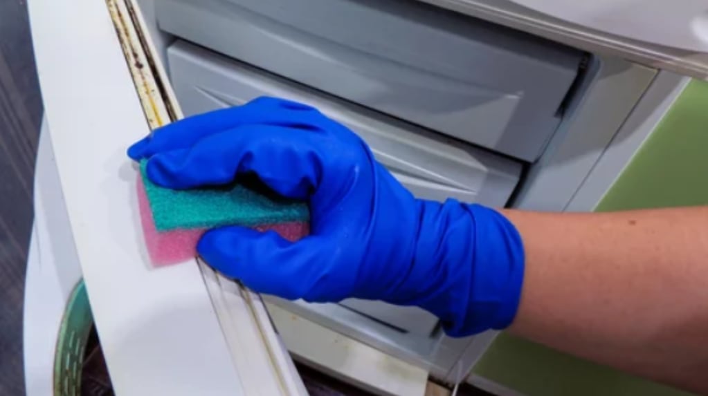 Cómo limpiar el moho de la goma de la heladera con un truco casero