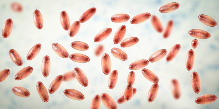 Human plague case reported in Bernalillo County by New Mexico health officials