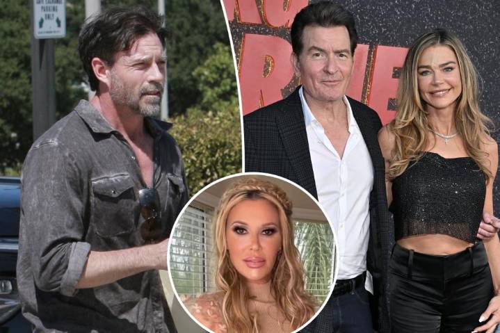 Exclusive | Denise Richards' ex Aaron Phypers drags Charlie Sheen, Brandi Glanville into divorce's witness list