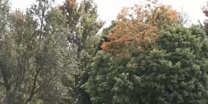 First Alert Weather: Leaves changing colors early in parts of the Ozarks