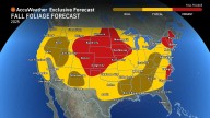 Alabama fall foliage 2025: AccuWeather forecast and best views