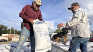 Entregan 48 toneladas de apoyos a productores agrícolas y ganaderos en López