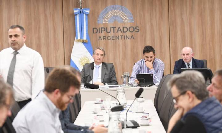 La oposición avanzó dividida con la reforma de los DNU y el Gobierno podría sostener un eventual veto