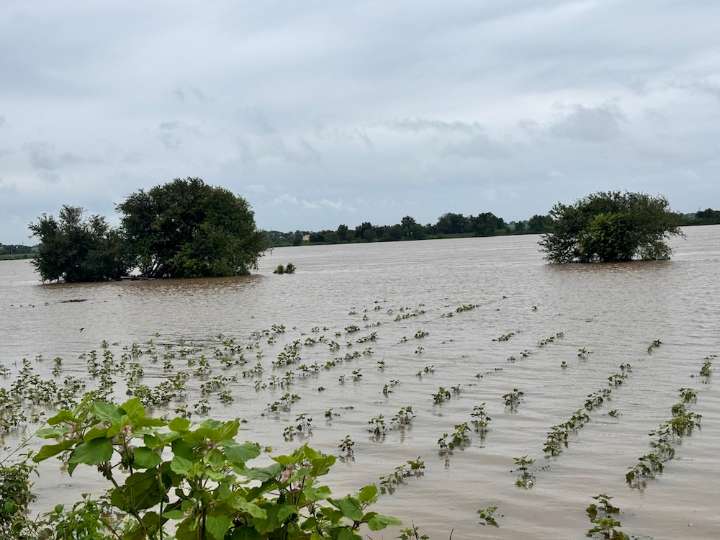Bhima River floods disrupt life in Kalyana Karnataka, 11