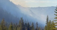 Emigrant Fire sees reduced activity with arrival of rain, cooler weather