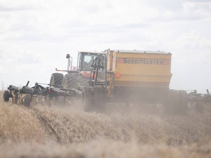 As China tariffs Canadian peas, industry pitches other countries on its protein for snacks, pasta