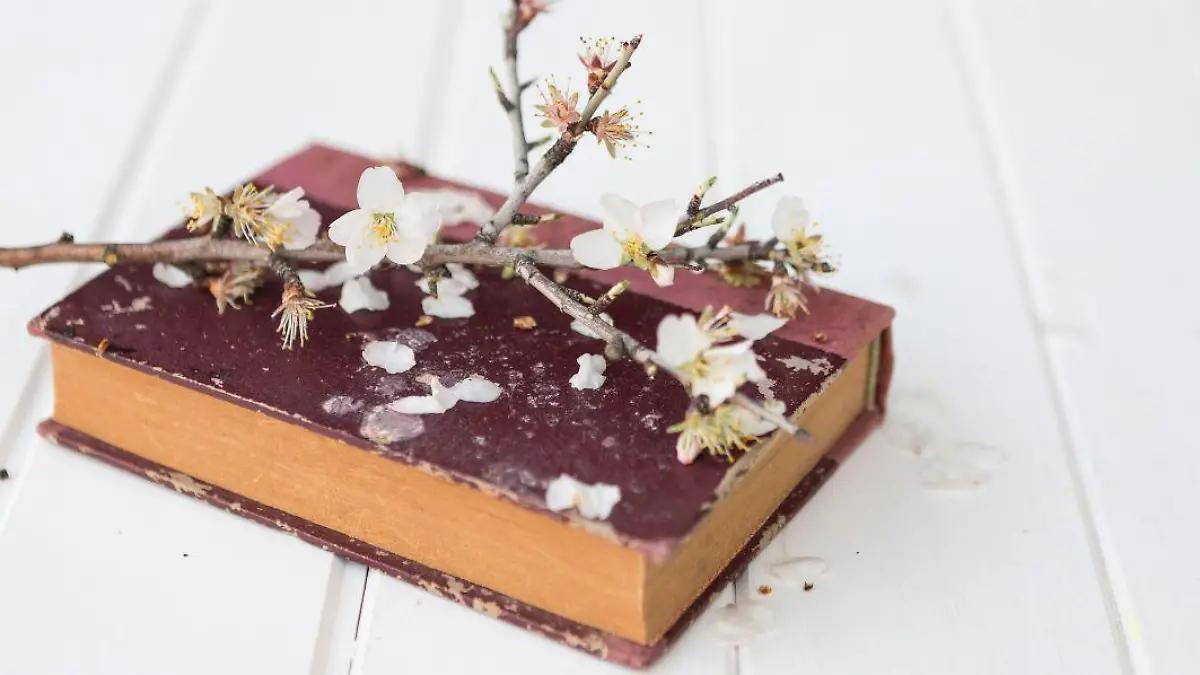 ¡Casi un postre! Los libros viejos sí huelen a vainilla, flores y almendras