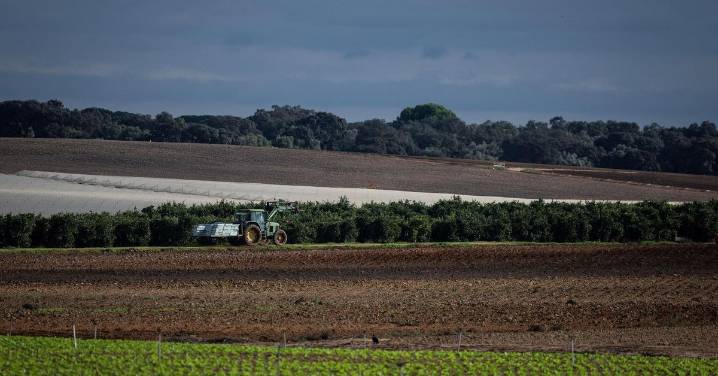 El Gobierno aprueba la próxima semana 28,5 millones de euros para la renaturalización del entorno de Doñana