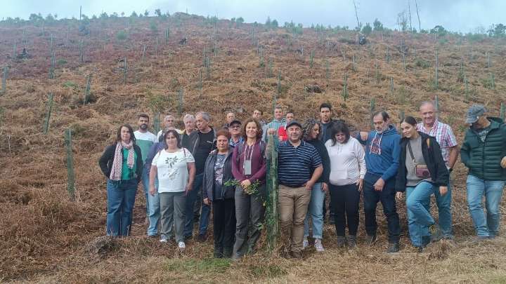 El futuro del monte asturiano se pone a prueba en Cangas del Narcea y Valdés: estos son las singulares iniciativas de Dagüeñu y Ranón