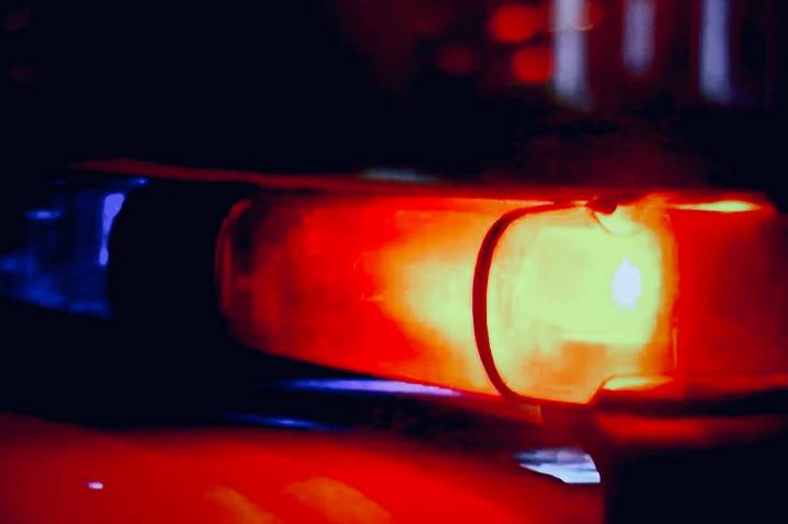 23 guns taken from home of 13-year-old who wrote about killing: police