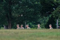 Using Guard soldiers to rake mulch at National Mall one sign of why deployments are wrong