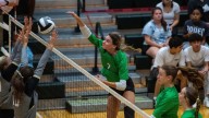 North Huskies take on the Jasper Wildcats in SAIC Volleyball action