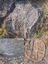 TENANGO DEL AIRE TIENE VALIOSOS PETOGLIFOS, UNO DEDICADO AL «ASTRO REY»