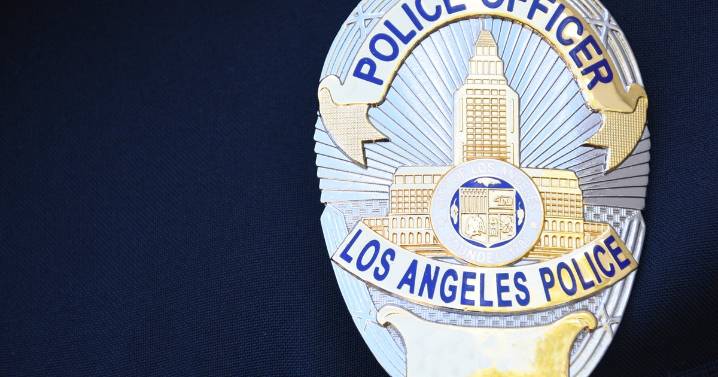 LAPD detectives searching for hit-and-run driver who struck and killed pedestrian in Mid