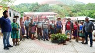 Entregan 500 plantas para reforestar tramo Huejutla