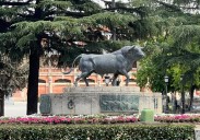 La multa múltiple por subirse a la estatua del toro junto a la plaza de Salamanca
