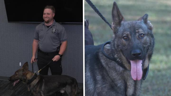 Franklin Police Department welcomes new K