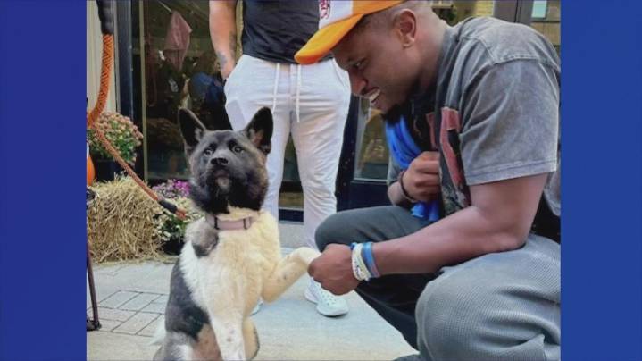 Khalil Shakir helps welcome 19 dogs to Nickel City Canine Rescue
