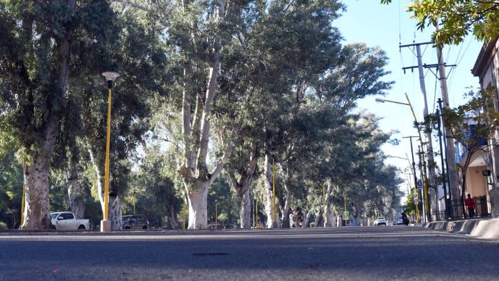Recomiendan evitar ingresar o permanecer en la zona del Parque Aguirre mientras persista…