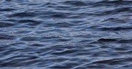 Man charged with hit-and-run after car found in water at Norfolk boat ramp with person inside