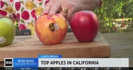 Top apples in California | Lunch Break with Michael Marks
