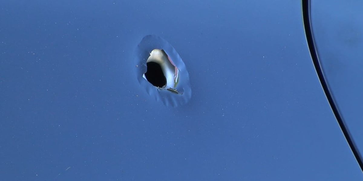 Birmingham woman says bullet tore through her car on Interstate 20/59, shooter still at large