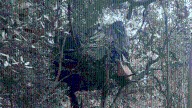 Man with large encampment on private property arrested 6 days after starting fire: police 