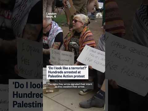 'Do I look like a terrorist?' Hundreds arrested at Palestine Action protest