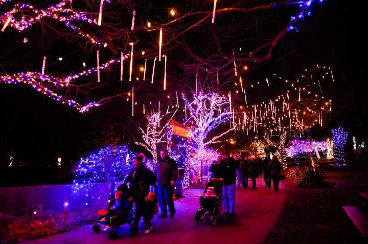 Winter Light Spectacular returns in November to Lehigh Valley Zoo. Tickets just went on sale.
