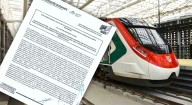 Empresa China gana contrato millonario para trenes del proyecto México