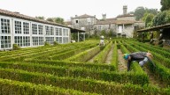 La propiedad del pazo de Oca reclama a la concesionaria de la AP-53 por daños en sus estanquespor un desprendimiento de tierras