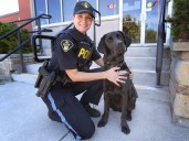 New OPP pup provides peer support