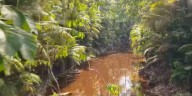 2 Missouri State University archeologists searching for lost city in the Amazon rainforest