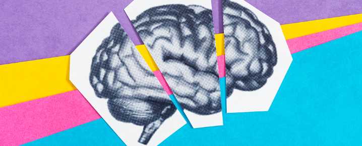 Switching Off One Crucial Protein Appears to Reverse Brain Aging in Mice