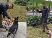 Baruch Correa, entrenador canino: “Si tu perro te monta constantemente quiere decir que necesita más actividad para liberar estrés”