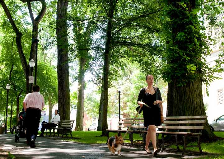 Concord Township launches comprehensive plan to help community